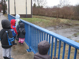 wilde Wasser...! Wohin fliet das alles?