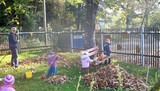 Herbstlaub